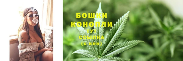 мдпв Болотное