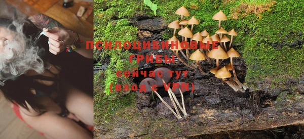 ешки Нея